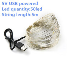Load image into Gallery viewer, string light led garland 1m 2m 5m 10m USB battery powered outdoor Warm white/RGB festival wedding party decoration fairy light